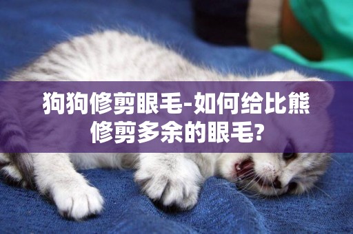 狗狗修剪眼毛-如何給比熊修剪多余的眼毛?