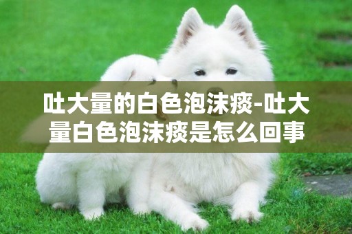 吐大量的白色泡沫痰-吐大量白色泡沫痰是怎么回事