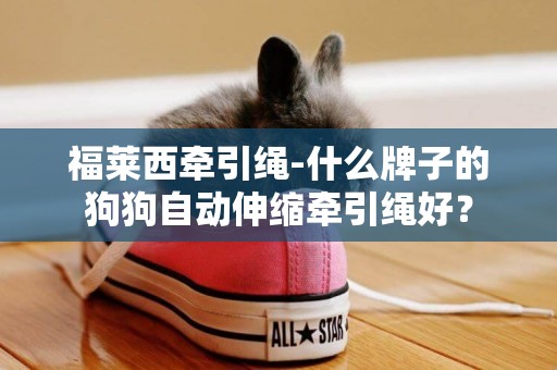 福萊西牽引繩-什么牌子的狗狗自動伸縮牽引繩好？