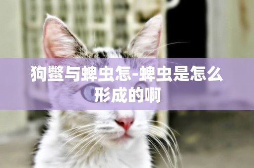 狗鱉與蜱蟲怎-蜱蟲是怎么形成的啊