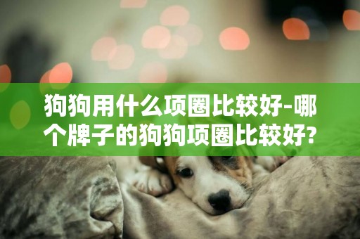 狗狗用什么項圈比較好-哪個牌子的狗狗項圈比較好?