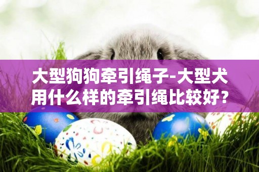 大型狗狗牽引繩子-大型犬用什么樣的牽引繩比較好？