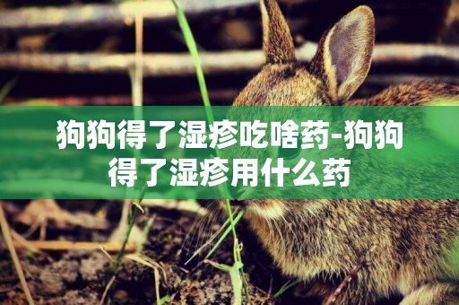狗狗得了濕疹吃啥藥-狗狗得了濕疹用什么藥