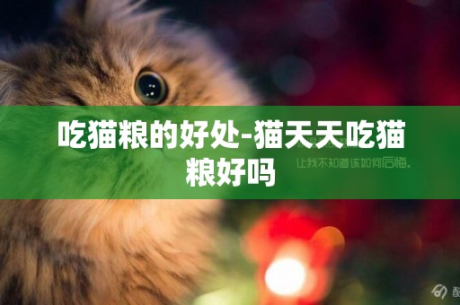 吃貓糧的好處-貓天天吃貓糧好嗎