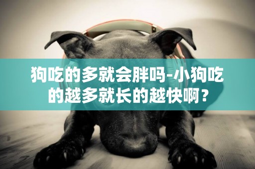 狗吃的多就會胖嗎-小狗吃的越多就長的越快啊？