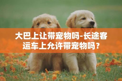 大巴上讓帶寵物嗎-長途客運車上允許帶寵物嗎？