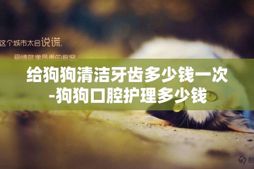 給狗狗清潔牙齒多少錢一次-狗狗口腔護理多少錢
