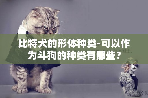 比特犬的形體種類-可以作為斗狗的種類有那些？
