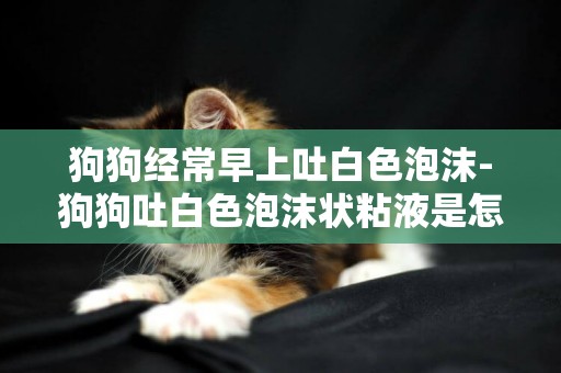 狗狗經常早上吐白色泡沫-狗狗吐白色泡沫狀粘液是怎么回事