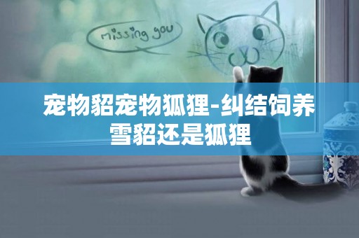 寵物貂寵物狐貍-糾結飼養雪貂還是狐貍