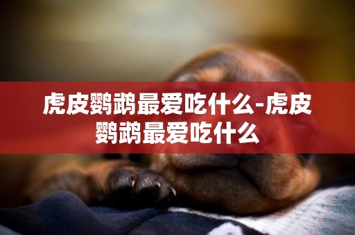 虎皮鸚鵡最愛吃什么-虎皮鸚鵡最愛吃什么