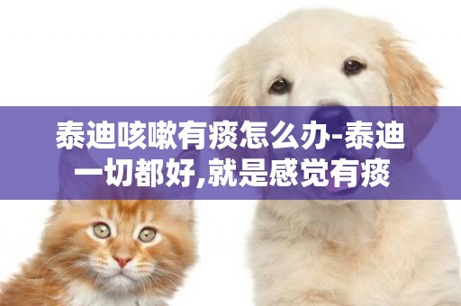 泰迪咳嗽有痰怎么辦-泰迪一切都好,就是感覺有痰