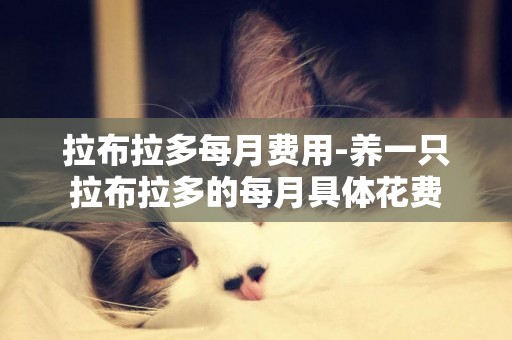 拉布拉多每月費用-養一只拉布拉多的每月具體花費