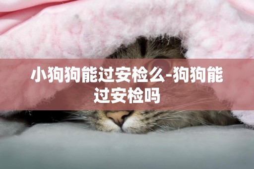 小狗狗能過安檢么-狗狗能過安檢嗎