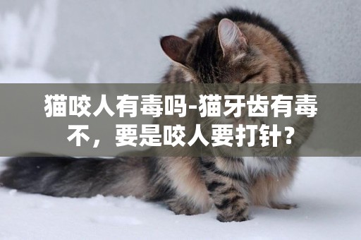貓咬人有毒嗎-貓牙齒有毒不，要是咬人要打針？