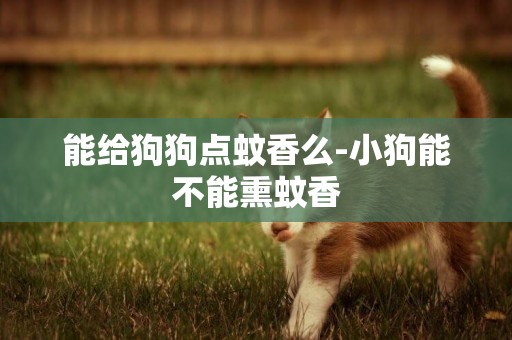 能給狗狗點蚊香么-小狗能不能熏蚊香