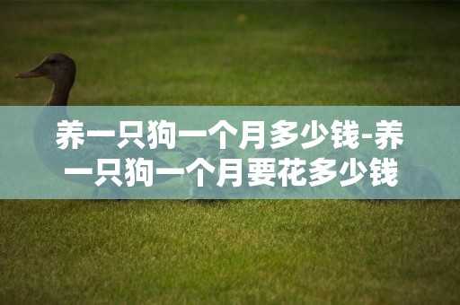 養一只狗一個月多少錢-養一只狗一個月要花多少錢
