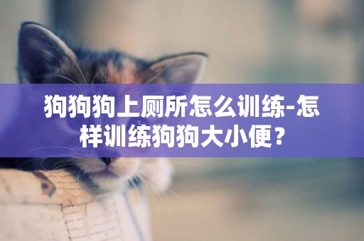 狗狗狗上廁所怎么訓練-怎樣訓練狗狗大小便？