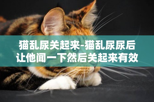 貓亂尿關起來-貓亂尿尿后讓他聞一下然后關起來有效嗎？