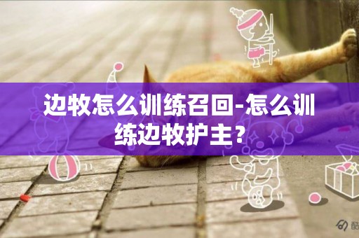 邊牧怎么訓練召回-怎么訓練邊牧護主？