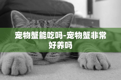 寵物蟹能吃嗎-寵物蟹非常好養嗎