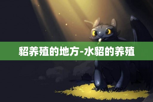 貂養殖的地方-水貂的養殖