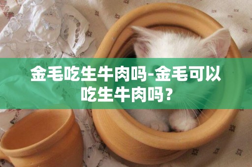 金毛吃生牛肉嗎-金毛可以吃生牛肉嗎？