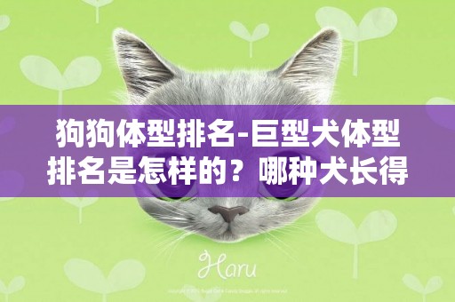狗狗體型排名-巨型犬體型排名是怎樣的？哪種犬長得最大？