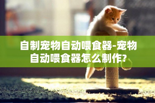 自制寵物自動喂食器-寵物自動喂食器怎么制作?