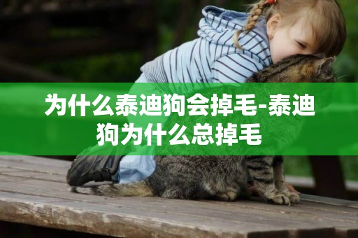 為什么泰迪狗會掉毛-泰迪狗為什么總掉毛