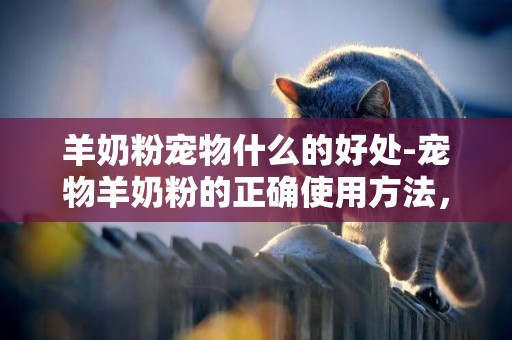 羊奶粉寵物什么的好處-寵物羊奶粉的正確使用方法，你做對了嗎