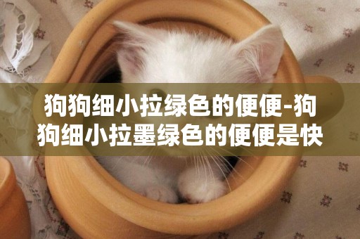 狗狗細小拉綠色的便便-狗狗細小拉墨綠色的便便是快好了嘛
