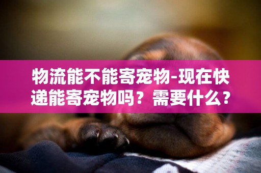 物流能不能寄寵物-現在快遞能寄寵物嗎？需要什么？