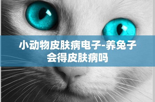 小動物皮膚病電子-養兔子會得皮膚病嗎