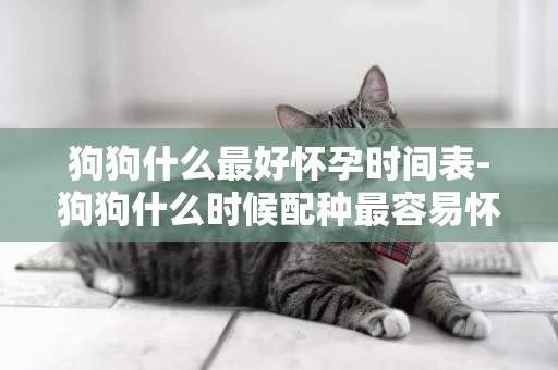 狗狗什么最好懷孕時間表-狗狗什么時候配種最容易懷孕