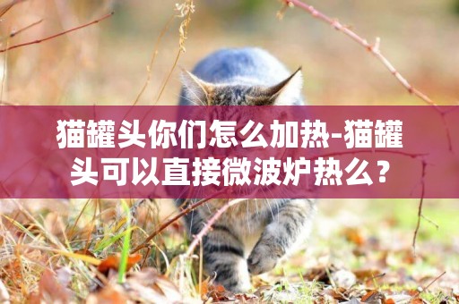 貓罐頭你們怎么加熱-貓罐頭可以直接微波爐熱么？
