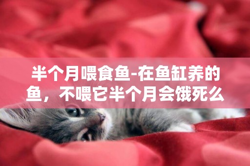 半個月喂食魚-在魚缸養的魚，不喂它半個月會餓死么？