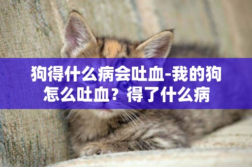 狗得什么病會吐血-我的狗怎么吐血？得了什么病