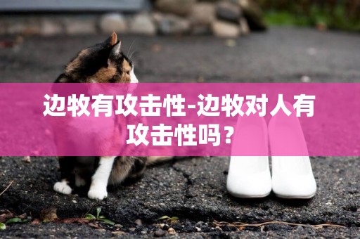 邊牧有攻擊性-邊牧對人有攻擊性嗎？