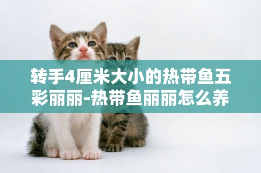 轉手4厘米大小的熱帶魚五彩麗麗-熱帶魚麗麗怎么養呀？