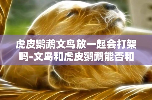 虎皮鸚鵡文鳥放一起會打架嗎-文鳥和虎皮鸚鵡能否和睦相處？