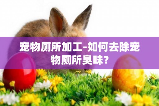 寵物廁所加工-如何去除寵物廁所臭味？