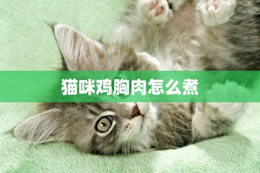 貓咪雞胸肉怎么煮