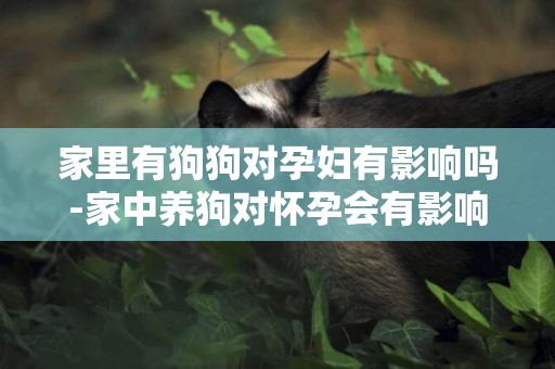 家里有狗狗對孕婦有影響嗎-家中養狗對懷孕會有影響嗎？