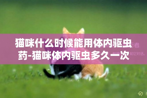 貓咪什么時候能用體內驅蟲藥-貓咪體內驅蟲多久一次