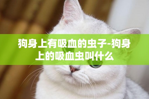 狗身上有吸血的蟲子-狗身上的吸血蟲叫什么