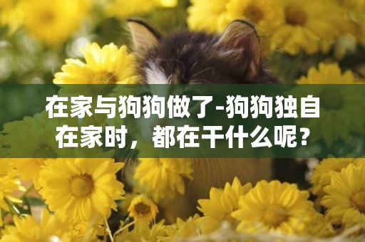 在家與狗狗做了-狗狗獨自在家時，都在干什么呢？