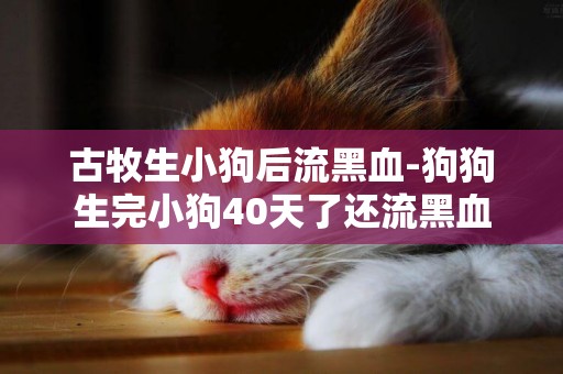 古牧生小狗后流黑血-狗狗生完小狗40天了還流黑血