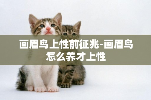 畫眉鳥上性前征兆-畫眉鳥怎么養才上性