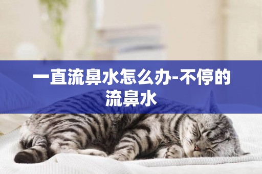 一直流鼻水怎么辦-不停的流鼻水